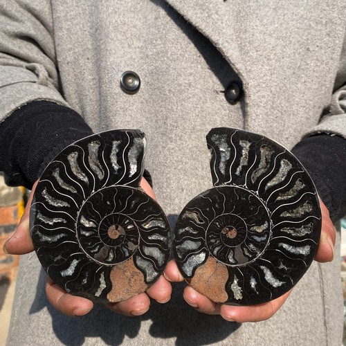 380g pair natural - 380g,