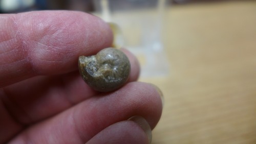 Geological enterprises - geological,
